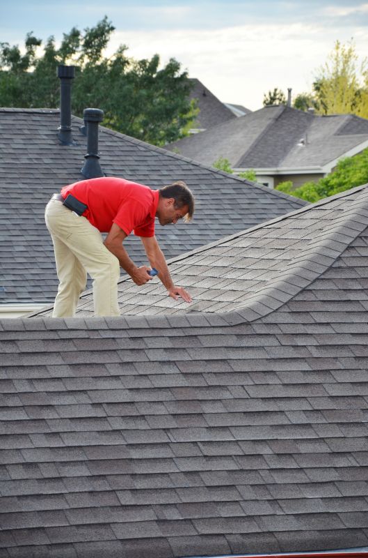 Professional Roofing Service